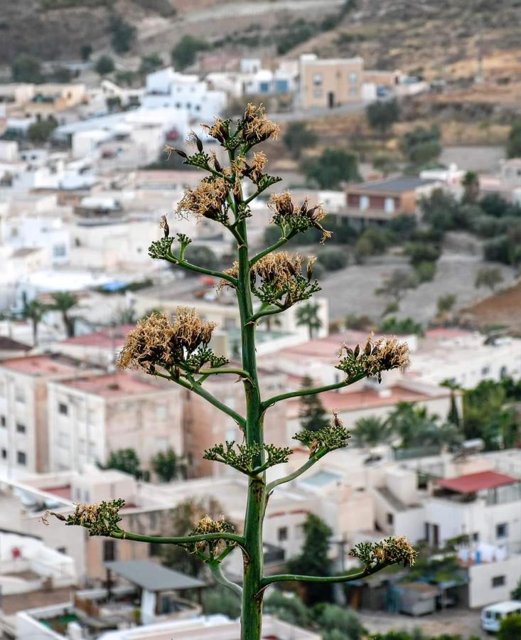 Nijar Bella Y Su Parque Natural Cabo De Gata المظهر الخارجي الصورة